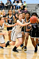 NMS-vs-Echols-girls basketball